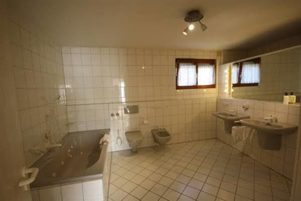 Hotel Hirschengarten 2*